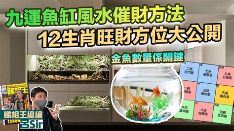 2023風水魚缸佈局|【2023風水魚缸佈局】2023年風水魚缸佈局大公開！兔年魚缸擺。